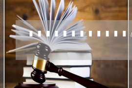 建阳为什么选择专业追讨公司来处理您的债务纠纷？